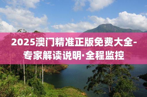 2025澳门精准正版免费大全-专家解读说明·全程监控
