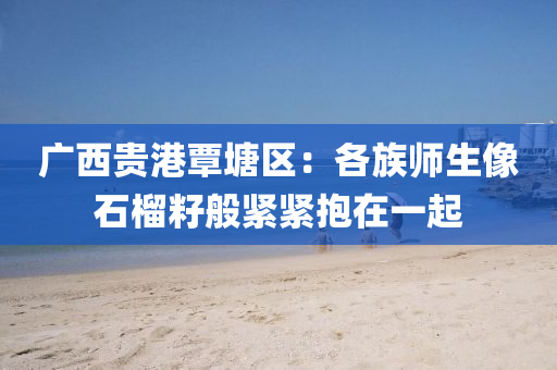 广西贵港覃塘区：各族师生像石榴籽般紧紧抱在一起