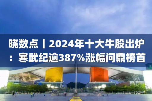 晓数点丨2024年十大牛股出炉：寒武纪逾387%涨幅问鼎榜首