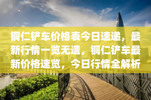 铜仁铲车价格表今日速递，最新行情一览无遗，铜仁铲车最新价格速览，今日行情全解析