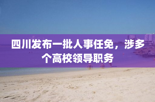 四川发布一批人事任免，涉多个高校领导职务