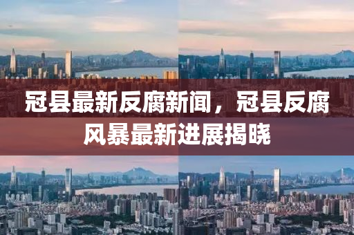 冠县最新反腐新闻，冠县反腐风暴最新进展揭晓
