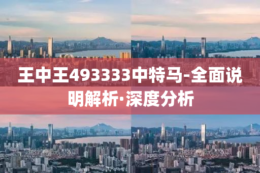 王中王493333中特马-全面说明解析·深度分析