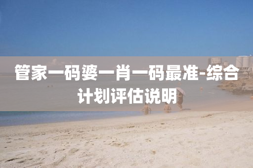 管家一码婆一肖一码最准-综合计划评估说明