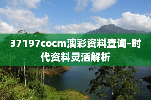 37197cocm澳彩资料查询-时代资料灵活解析