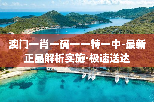 澳门一肖一码一一特一中-最新正品解析实施·极速送达