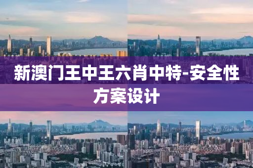 新澳门王中王六肖中特-安全性方案设计
