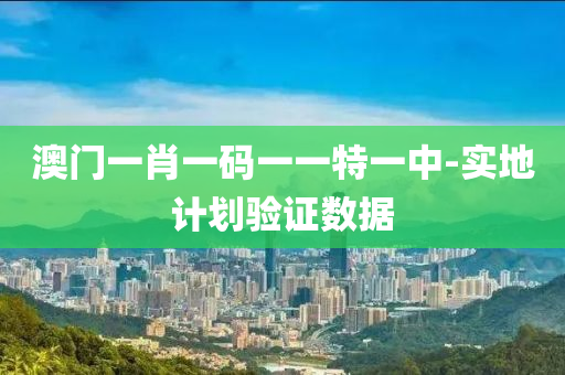 澳门一肖一码一一特一中-实地计划验证数据