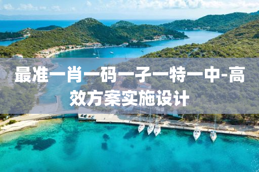 最准一肖一码一孑一特一中-高效方案实施设计