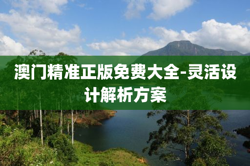澳门精准正版免费大全-灵活设计解析方案