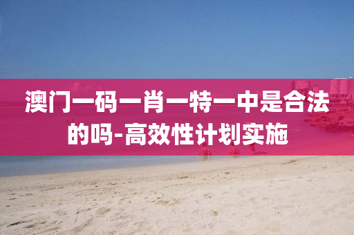 澳门一码一肖一特一中是合法的吗-高效性计划实施