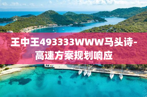 王中王493333WWW马头诗-高速方案规划响应