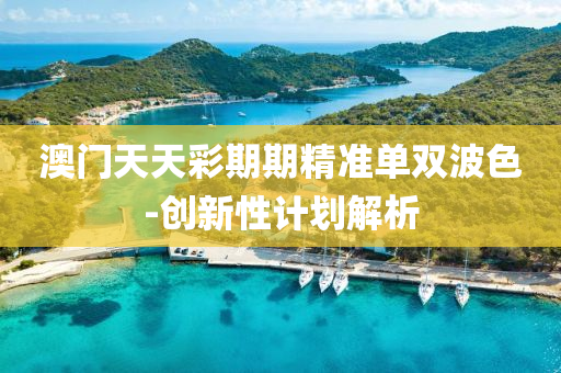 澳门天天彩期期精准单双波色-创新性计划解析
