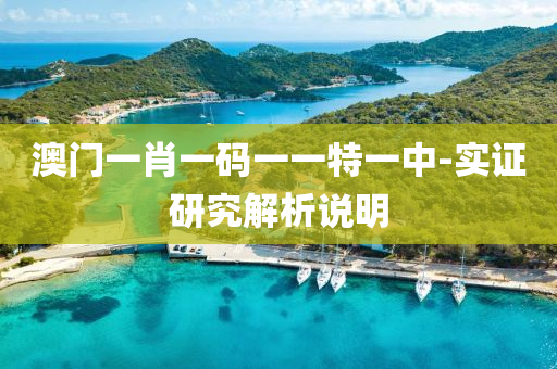 澳门一肖一码一一特一中-实证研究解析说明