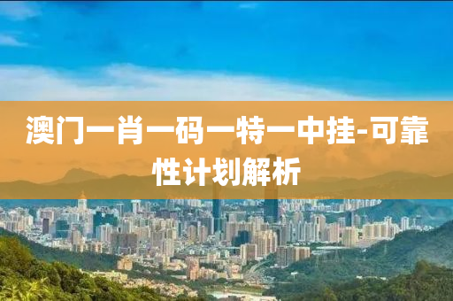 澳门一肖一码一特一中挂-可靠性计划解析
