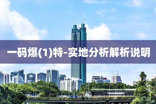一码爆(1)特-实地分析解析说明
