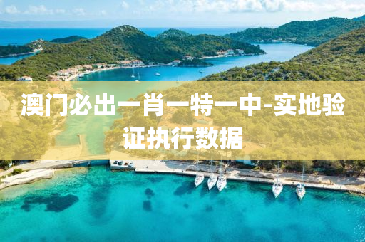 澳门必出一肖一特一中-实地验证执行数据