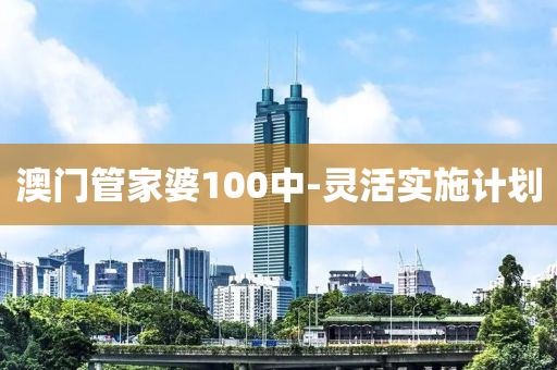 澳门管家婆100中-灵活实施计划