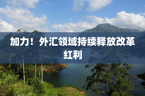 加力！外汇领域持续释放改革红利