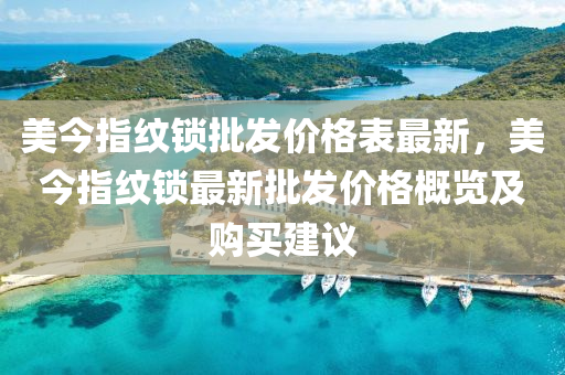 美今指纹锁批发价格表最新，美今指纹锁最新批发价格概览及购买建议