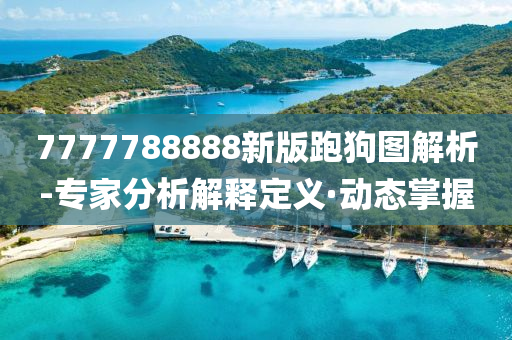 7777788888新版跑狗图解析-专家分析解释定义·动态掌握
