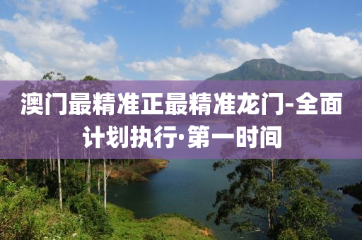 澳门最精准正最精准龙门-全面计划执行·第一时间