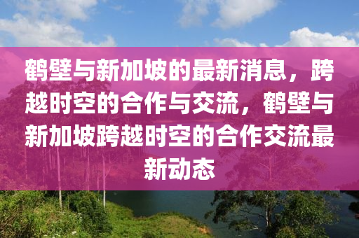 鹤壁与新加坡的最新消息，跨越时空的合作与交流，鹤壁与新加坡跨越时空的合作交流最新动态