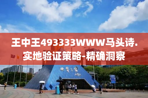 王中王493333WWW马头诗.实地验证策略-精确洞察