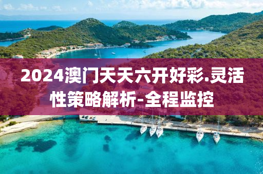 2024澳门天天六开好彩.灵活性策略解析-全程监控