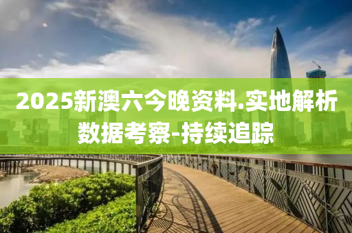 2025新澳六今晚资料.实地解析数据考察-持续追踪