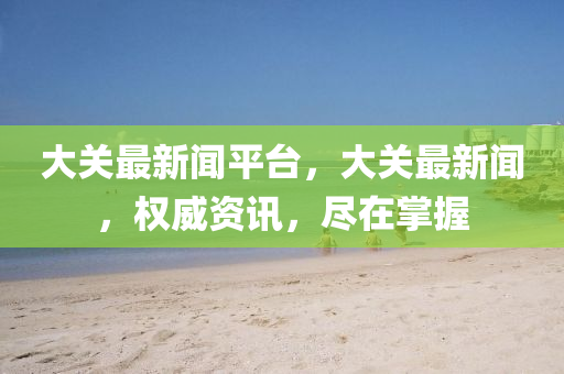 大关最新闻平台，大关最新闻，权威资讯，尽在掌握
