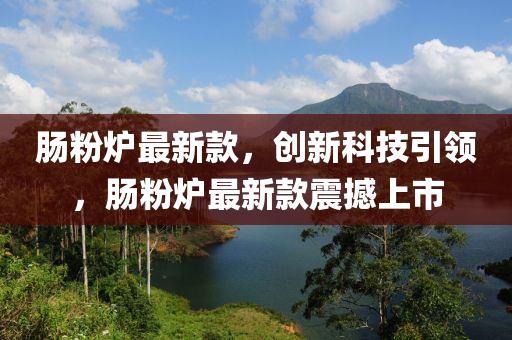 肠粉炉最新款，创新科技引领，肠粉炉最新款震撼上市