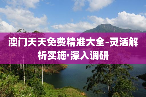 澳门天天免费精准大全-灵活解析实施·深入调研