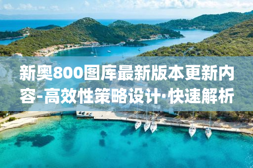 新奥800图库最新版本更新内容-高效性策略设计·快速解析