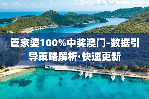 管家婆100%中奖澳门-数据引导策略解析·快速更新