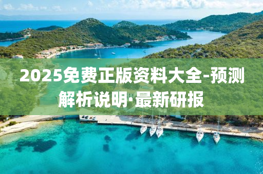 2025免费正版资料大全-预测解析说明·最新研报