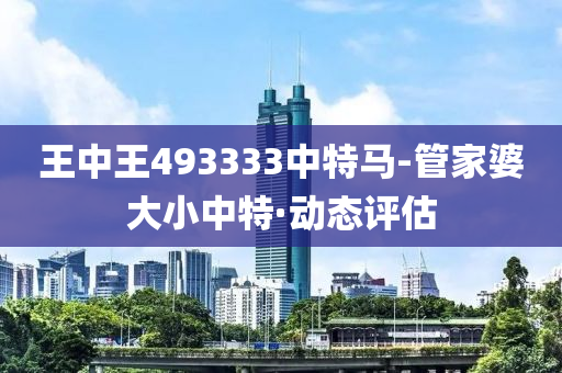 王中王493333中特马-管家婆大小中特·动态评估