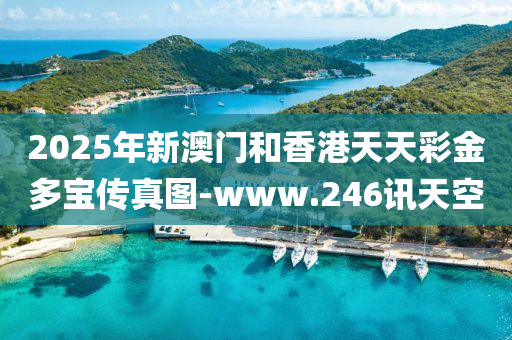 2025年新澳门和香港天天彩金多宝传真图-www.246讯天空