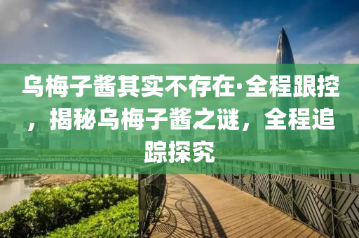 乌梅子酱其实不存在·全程跟控，揭秘乌梅子酱之谜，全程追踪探究