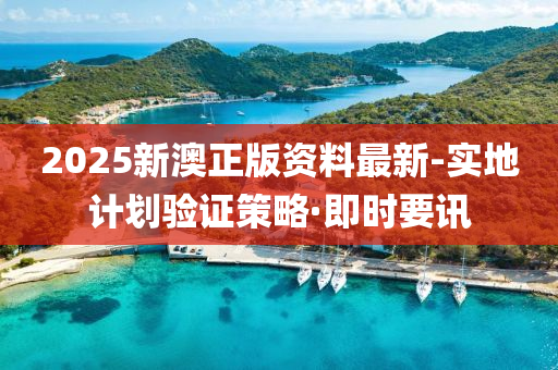 2025新澳正版资料最新-实地计划验证策略·即时要讯