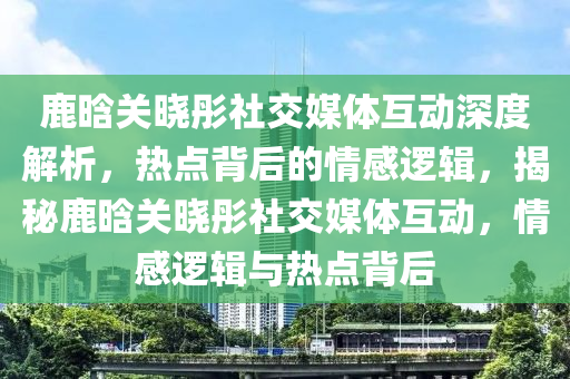 鹿晗关晓彤社交媒体互动深度解析，热点背后的情感逻辑，揭秘鹿晗关晓彤社交媒体互动，情感逻辑与热点背后
