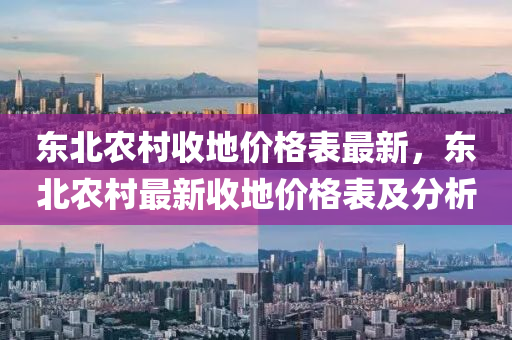 东北农村收地价格表最新，东北农村最新收地价格表及分析