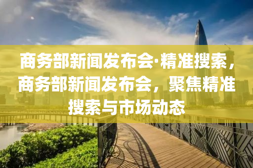 商务部新闻发布会·精准搜索，商务部新闻发布会，聚焦精准搜索与市场动态
