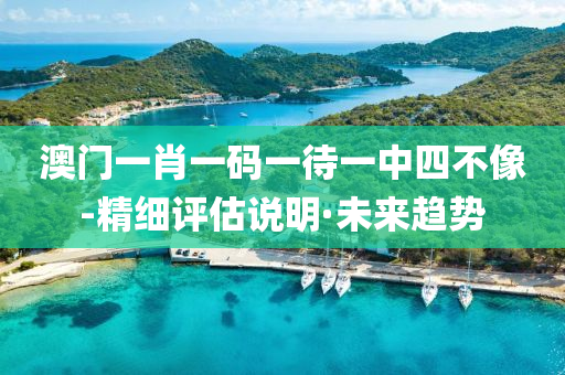 澳门一肖一码一待一中四不像-精细评估说明·未来趋势