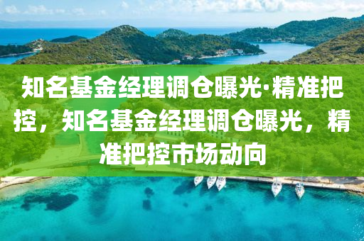 知名基金经理调仓曝光·精准把控，知名基金经理调仓曝光，精准把控市场动向