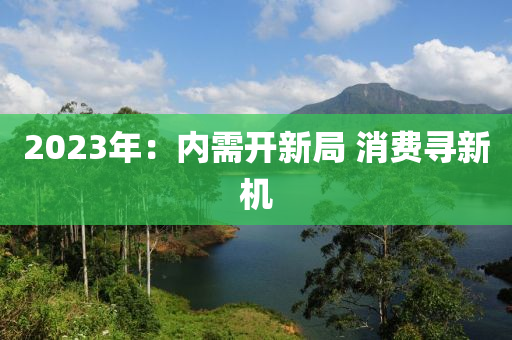 2023年：内需开新局 消费寻新机