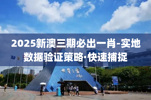 2025新澳三期必出一肖-实地数据验证策略·快速捕捉
