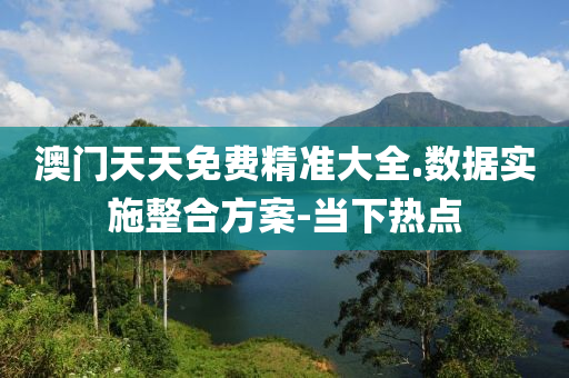 澳门天天免费精准大全.数据实施整合方案-当下热点