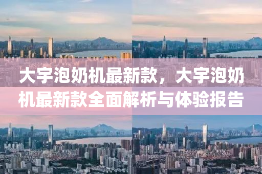 大宇泡奶机最新款，大宇泡奶机最新款全面解析与体验报告