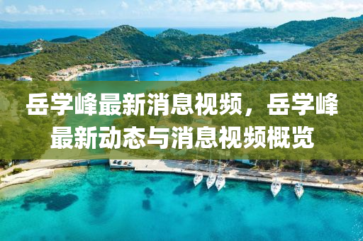 岳学峰最新消息视频，岳学峰最新动态与消息视频概览